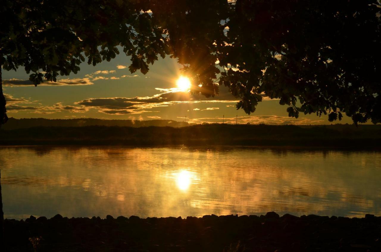 Domek Nad Odra Gryfino Exteriör bild